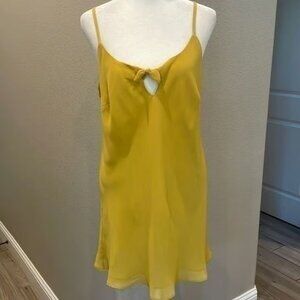 Cabi Woman’s Lined Sheer Camisole Top